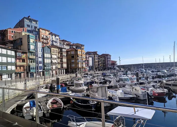 Lamerako Etxie - La Casa Del Parque - Park S Apartment